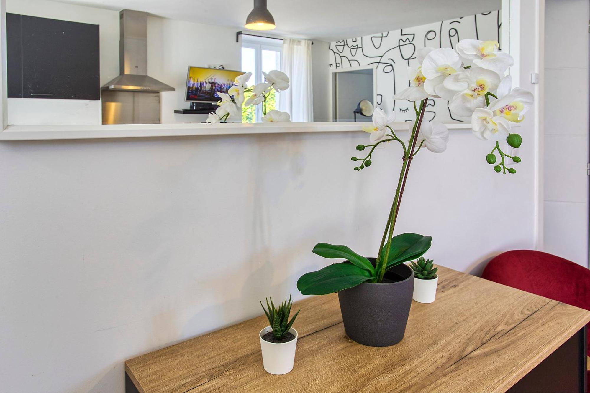 Appartement de Chez Lambert aseptisé et prêt T3 50m2 Netflix - Angoulême Extérieur photo